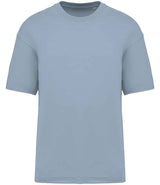 Native Spirit Oversized T-Shirt | Aquamarine thumbnail 1