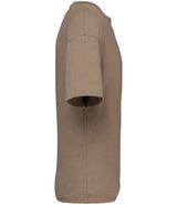 Native Spirit Oversized T-Shirt | Driftwood thumbnail 3