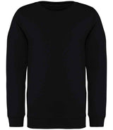 Native Spirit Kids Crew Neck Sweatshirt | Black thumbnail 1