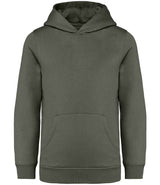Native Spirit Kids Hooded Sweatshirt | Organic Khaki thumbnail 1