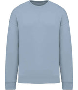 Native Spirit Unisex Oversized Sweatshirt | Aquamarine thumbnail 1