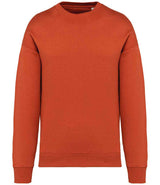 Native Spirit Unisex Oversized Sweatshirt | Burnt Brick thumbnail 1