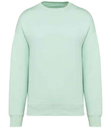 Native Spirit Unisex Oversized Sweatshirt | Brook Green thumbnail 1