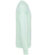 Native Spirit Unisex Oversized Sweatshirt | Brook Green thumbnail 3