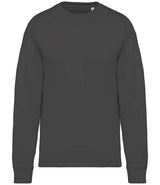 Native Spirit Unisex Oversized Sweatshirt | Iron Grey thumbnail 1