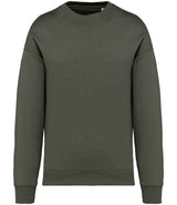 Native Spirit Unisex Oversized Sweatshirt | Organic Khaki thumbnail 1
