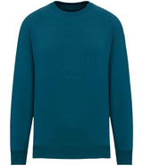 Native Spirit Unisex Oversized Sweatshirt | Peacock Green thumbnail 1