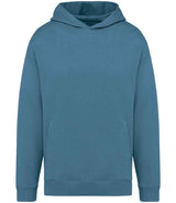 Native Spirit Unisex Oversized Hoodie | Adriatic Blue thumbnail 1