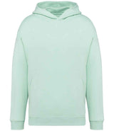 Native Spirit Unisex Oversized Hoodie | Brook Green thumbnail 1