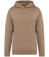 Native Spirit Unisex Oversized Hoodie | Driftwood thumbnail 1