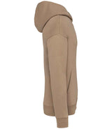 Native Spirit Unisex Oversized Hoodie | Driftwood thumbnail 3