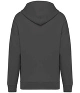Native Spirit Unisex Oversized Hoodie | Iron Grey thumbnail 2