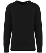 Native Spirit Unisex Terry 280 Sweatshirt | Washed Black thumbnail 1
