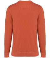 Native Spirit Unisex Terry 280 Sweatshirt | Washed Pomelo thumbnail 2