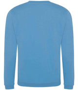 Pro RTX Pro Sweatshirt | Sky Blue thumbnail 2