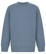 SF Clothing Kids Sustainable Fashion Curved Hem Sweatshirt | Stone Blue thumbnail 1