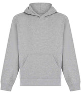 SF Clothing Kids Sustainable Fashion Hoodie | Heather Grey thumbnail 1
