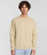 Fruit of the Loom Iconic Premium Set-In Sweatshirt | Desert Sand thumbnail 2