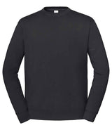 Fruit of the Loom Iconic Premium Set-In Sweatshirt | Light Graphite thumbnail 4