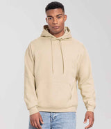Fruit of the Loom Iconic Premium Hooded Sweatshirt | Desert Sand thumbnail 1