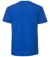 Fruit of the Loom Iconic 195 T-Shirt | Royal Blue thumbnail 5