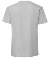 Fruit of the Loom Iconic 195 T-Shirt | Zinc thumbnail 5