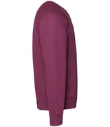 Fruit of the Loom Classic Raglan Sweatshirt | Burgundy thumbnail 5
