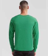 Fruit of the Loom Classic Raglan Sweatshirt | Heather Green thumbnail 2