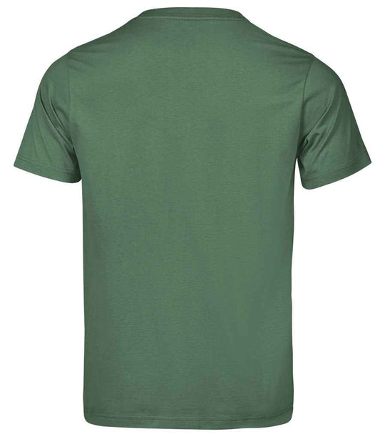 T1150 Cactus Back