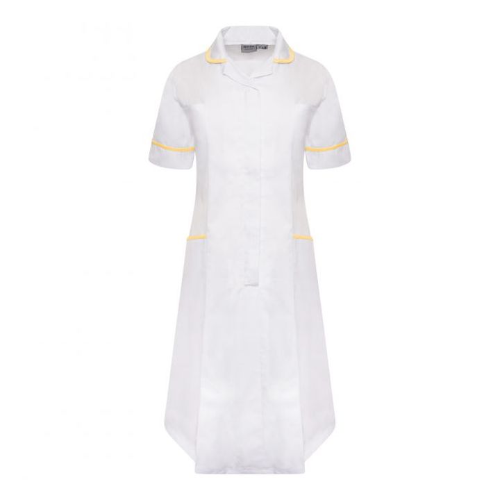 Ladies Dress with Round Collar